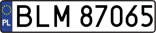 BLM87065