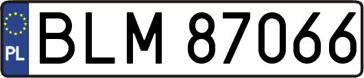 BLM87066