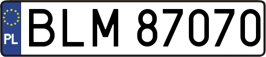 BLM87070