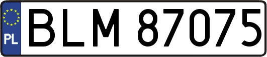 BLM87075