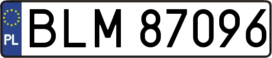 BLM87096