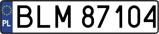 BLM87104