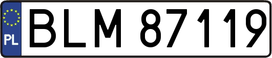 BLM87119