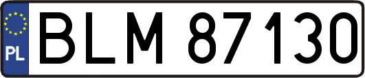 BLM87130