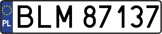 BLM87137