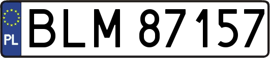 BLM87157