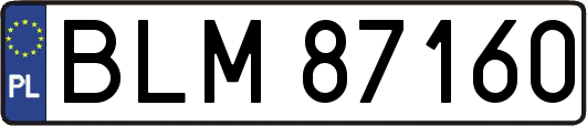 BLM87160