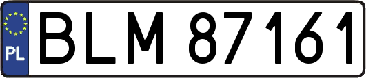 BLM87161
