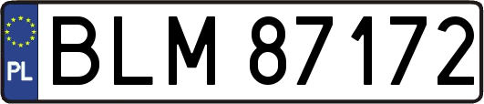 BLM87172
