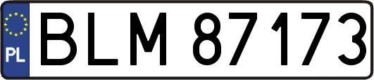 BLM87173