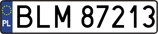 BLM87213