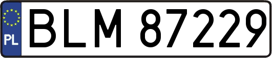 BLM87229