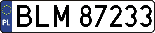 BLM87233