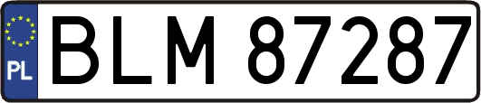 BLM87287