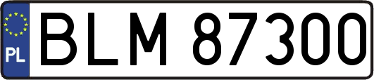 BLM87300