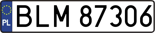 BLM87306