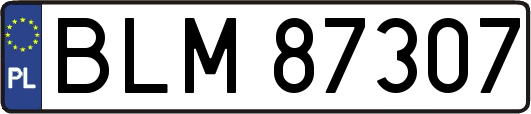 BLM87307