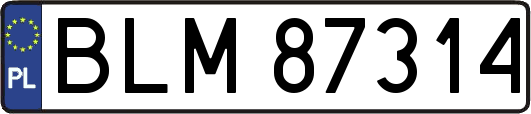 BLM87314