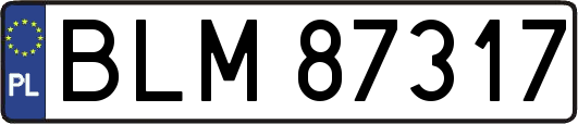 BLM87317