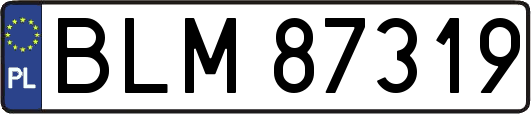 BLM87319