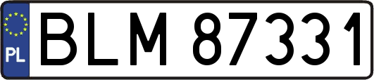 BLM87331