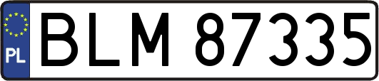 BLM87335