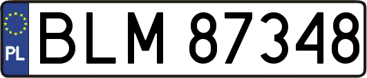 BLM87348