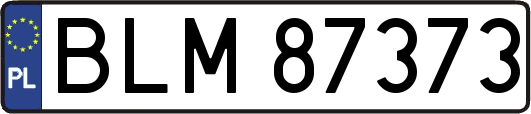 BLM87373