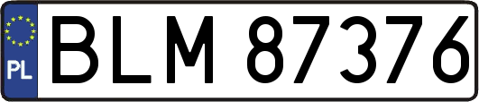 BLM87376
