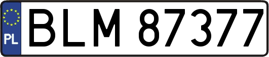 BLM87377