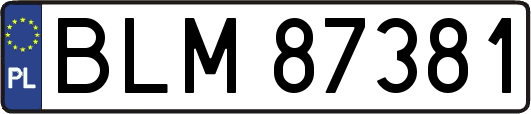 BLM87381