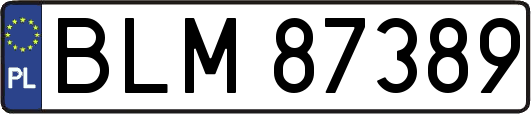 BLM87389