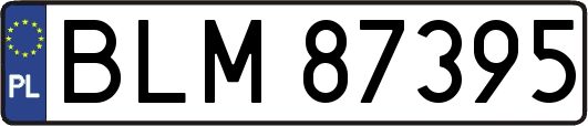 BLM87395