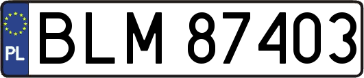 BLM87403