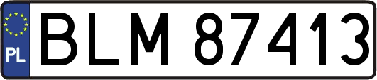 BLM87413