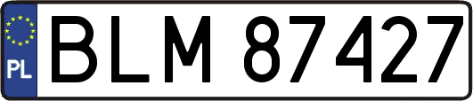 BLM87427