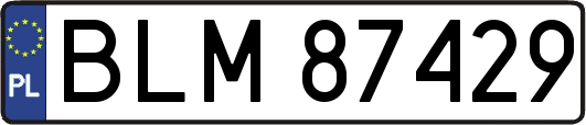 BLM87429