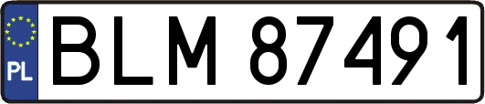 BLM87491
