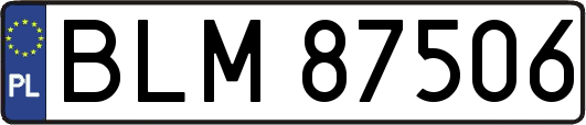 BLM87506
