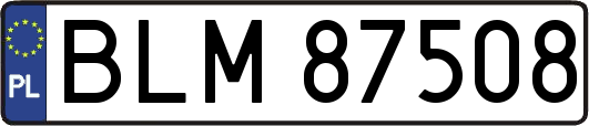 BLM87508