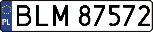 BLM87572
