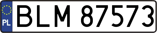 BLM87573