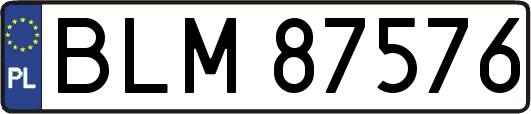 BLM87576
