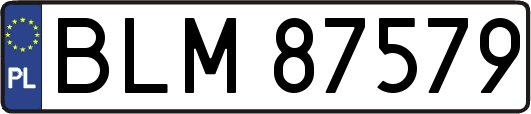 BLM87579