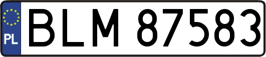 BLM87583