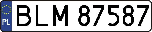 BLM87587