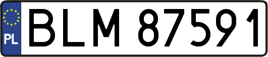 BLM87591