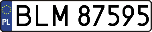 BLM87595