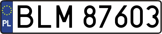 BLM87603