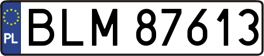 BLM87613